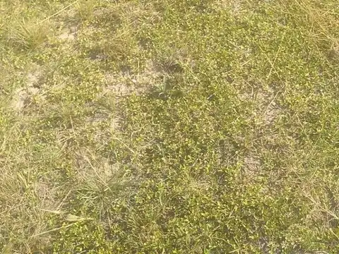 Terreno en Venta 30  mts Frente