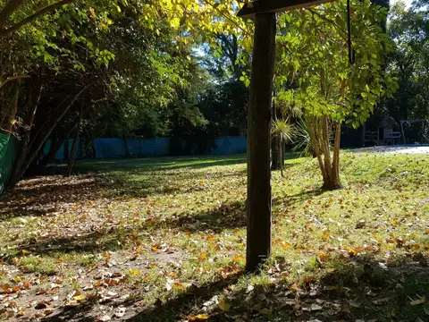 Dr P Narciso Arata 2900