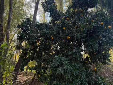 Terreno en Venta en Zona Delta San Fernando, USD 25.000