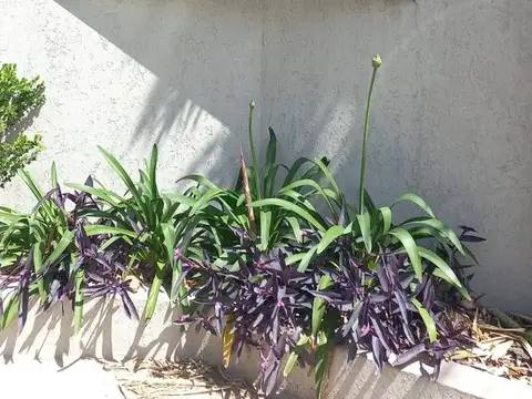 Lote Barrio / Los Alamos de Yei Porá /Tortuguitas