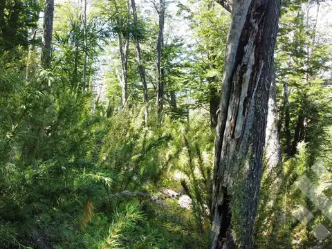 VENTA TERRENO 1051 M2 - Bº KALEUCHE ALTO - SAN MARTIN DE LOS ANDES