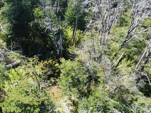 Terreno en Venta de 1051,0 m2
