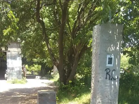 Blas Parera 1100