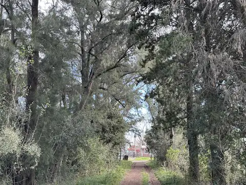 Venta Terreno Longchamps - Lote Barrio "La Arbolada"