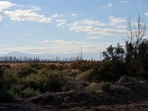 Ruta Provincial N.º 24 6000