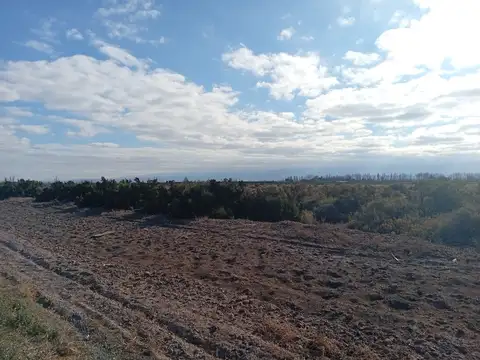 Terreno en Venta de 2100,0 m2