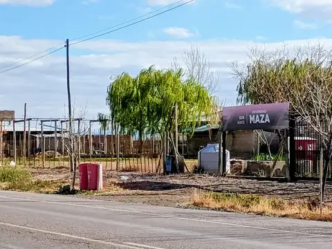 LOTE EN VENTA EN RUTA P 24, LAVALLE- MENDOZA