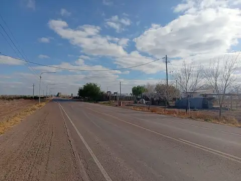 LOTE EN VENTA EN RUTA P 24, LAVALLE- MENDOZA