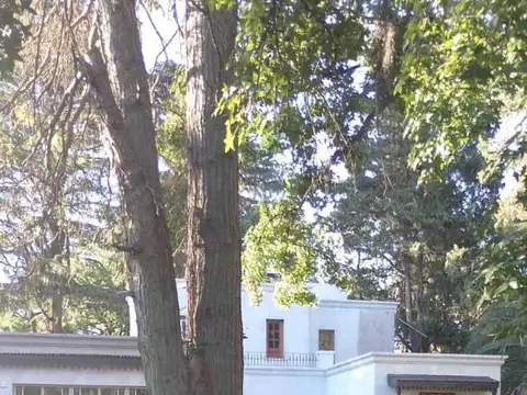 Charlone 3600, Piso 0