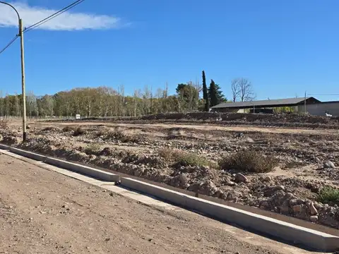 Terreno en Venta de 778,0 m2