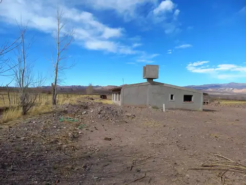 Ruta Nacional 149, km 12, San Alberto, Uspallata, Mendoza 100
