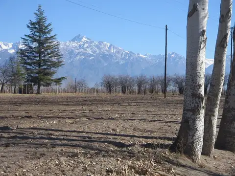 Campo en Venta Ganadero