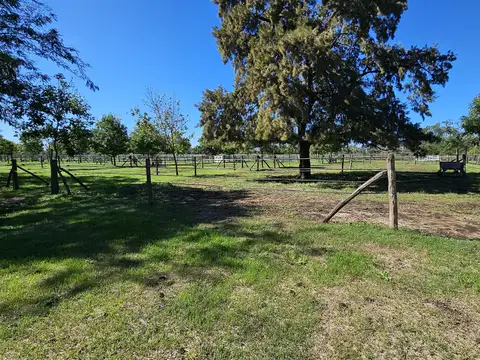 Campo en Venta Agricola