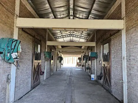 Campo en Venta de 12  ha