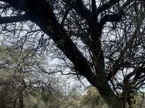 Venta terreno en Cinco Lomas, La Calera. 2000mt2