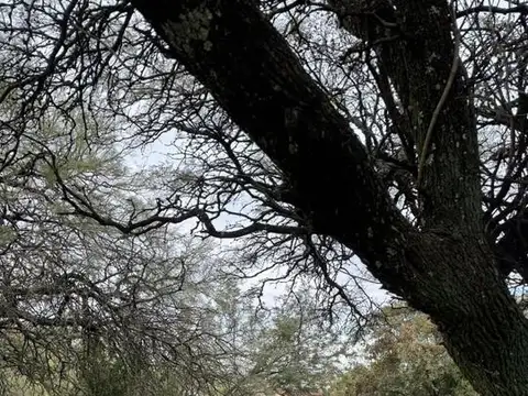 Terreno en Venta de 2002,0 m2