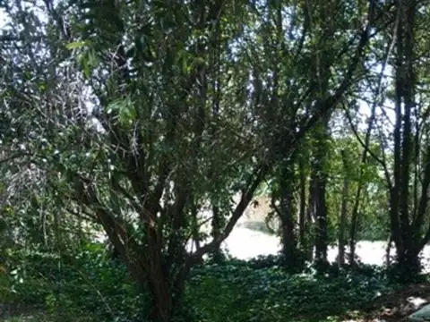 Av. Antártida Argentina 300