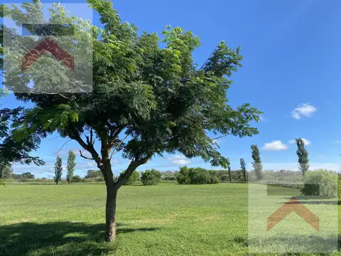 Terreno en Venta 25  mts Frente