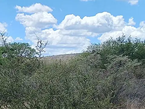 00238 -Terreno de 1250 m² en venta en San Marcos Sierra