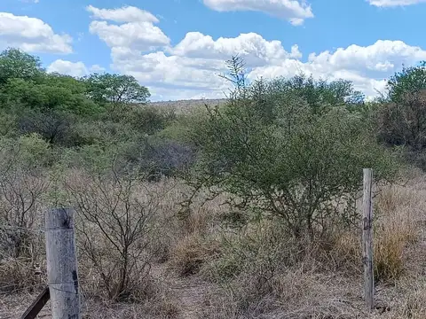 Terreno en Venta de 1250,0 m2