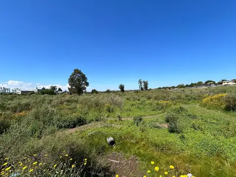 Terreno en Venta de 10000,0 m2