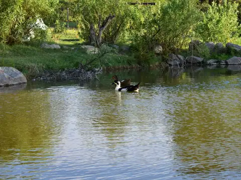 Ruta 3 prov, Au 25 de Mayo km