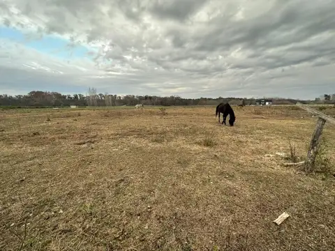 Terreno en venta en Haras Argentino Farm Club