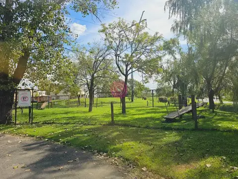 Altos de Campo Grande 100