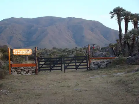 San Francisco del Monte de Oro