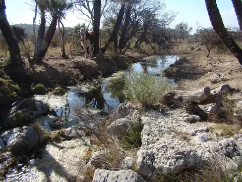Terreno en Venta de 28000,0 m2