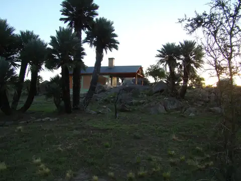 San Francisco del Monte de Oro