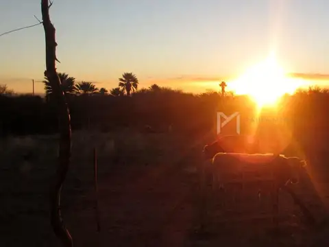 Terreno en Venta de 5000,0 m2