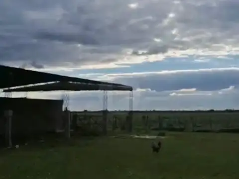 Campo en venta en San Jerónimo del Sauce - Santa Fe