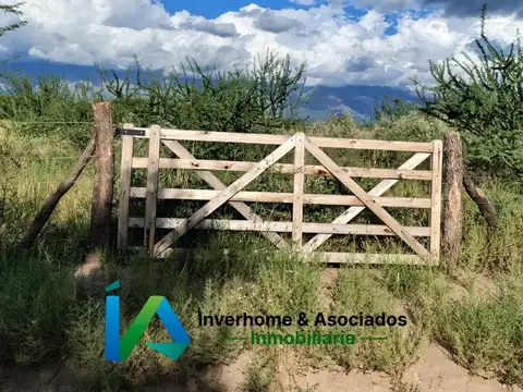 Terreno en Venta de 10213,0 m2