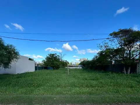 Domingo Porporatto al 100