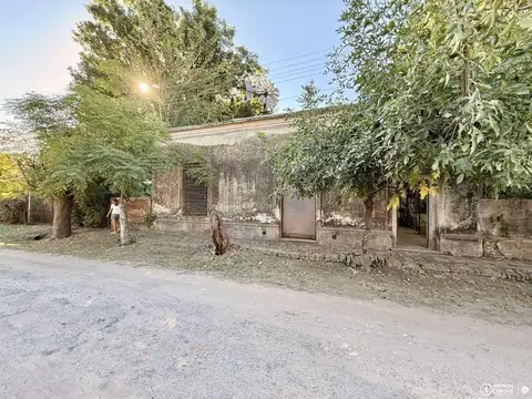 Venta Casa de epoca parque arbolado centro