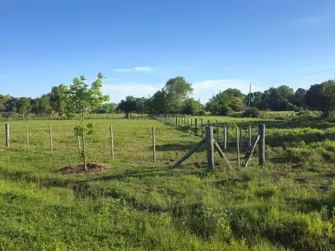 Terreno en Venta de 2334,0 m2