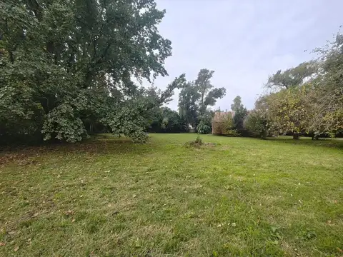 Benvenuto Cellini 1200