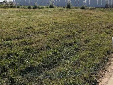 Terreno en Venta de 10010,0 m2