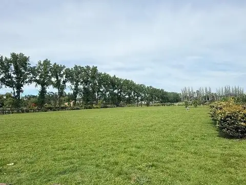 Terreno en Venta de 7197,0 m2