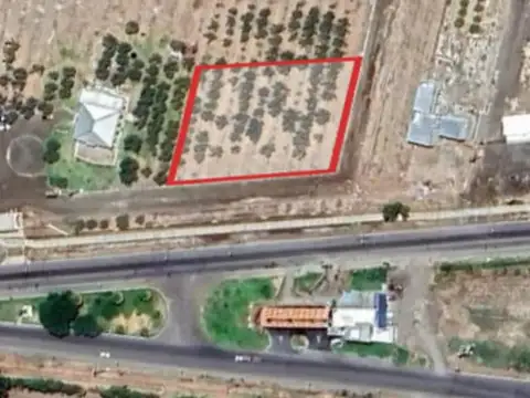 VENTA DE LOTE ESQUINA EN LOS OLIVOS RESID -LAVALLE