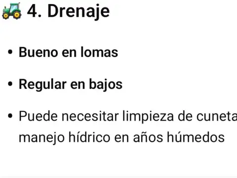 Campo - Tigre