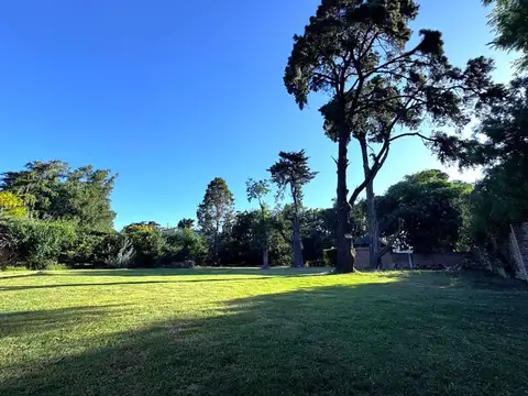 LOTE VENTA BENAVIDEZ VILLA BERTHA- ESCUCHA OFERTAS