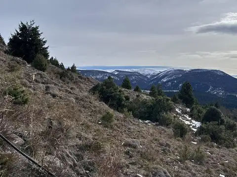 Terreno en Venta 40  mts Fondo