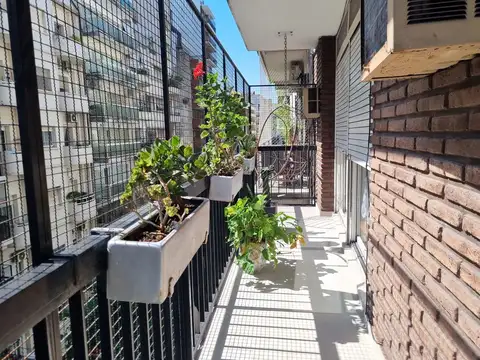 Larrea 1000