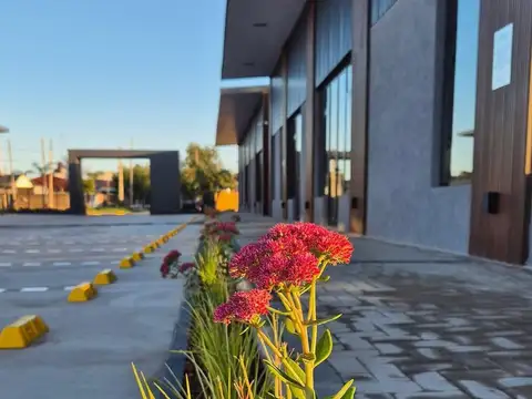 Local en Alquiler A Estrenar