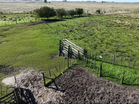 Campo para arrendar en Vieytes (Bs As)