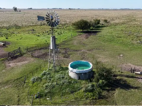 Campo para arrendar en Vieytes (Bs As)