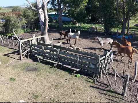Campo para arrendar en Vieytes (Bs As)
