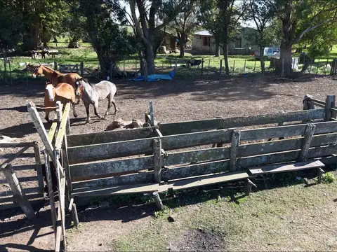 Campo para arrendar en Vieytes (Bs As)